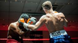 Free Boxing Streams Guide: Watch Top Fights Without Cable